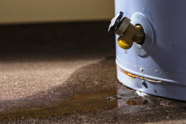 Best Water damage repair service  in Snellville, GA