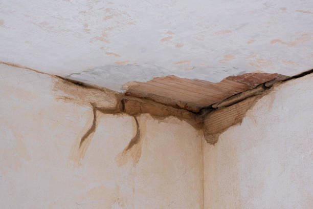 Best Water damage restoration near me  in Snellville, GA