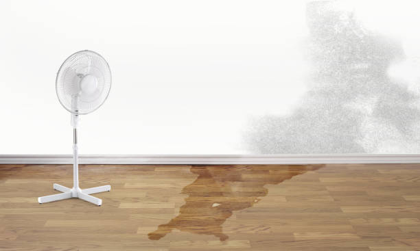 Best Mold removal after water damage  in Snellville, GA