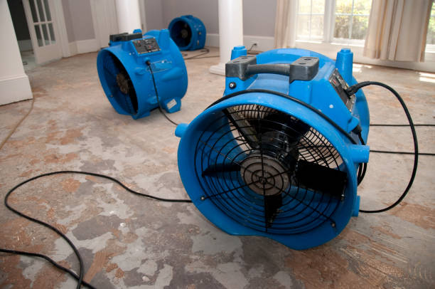 Best 24/7 water damage repair  in Snellville, GA