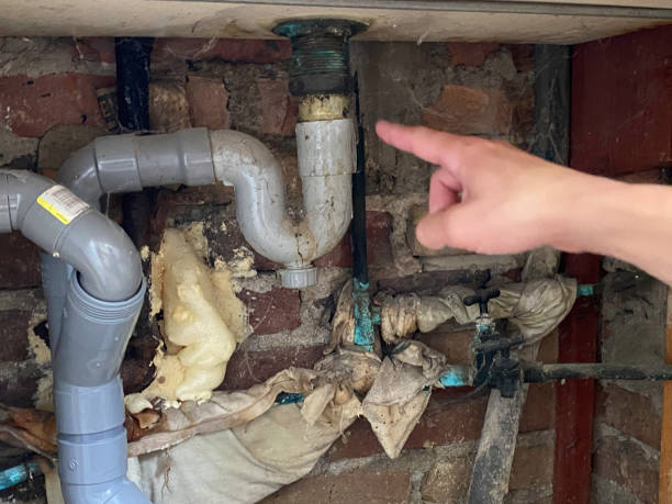 Best Flooded house restoration  in Snellville, GA